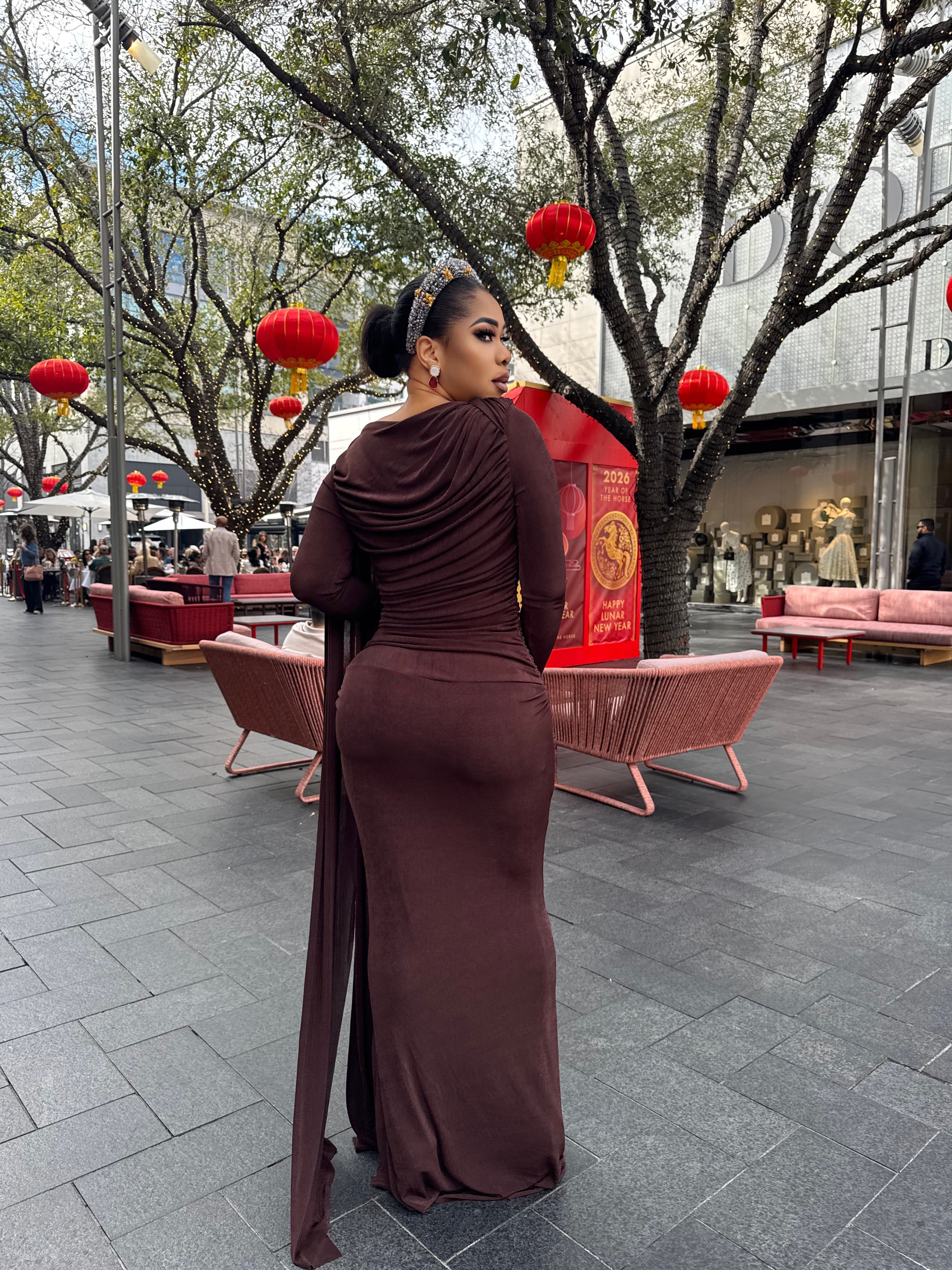 Jenny long sleeve evening Gown-Brown